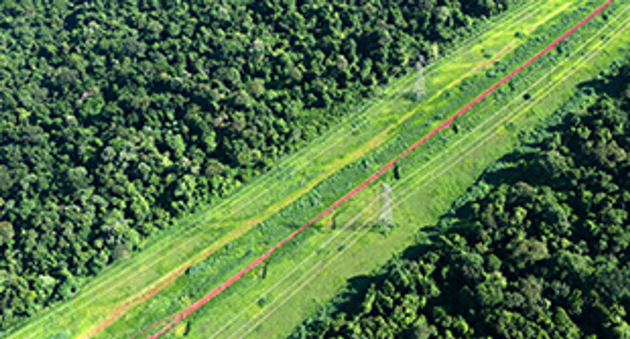 Power supply lines through forest