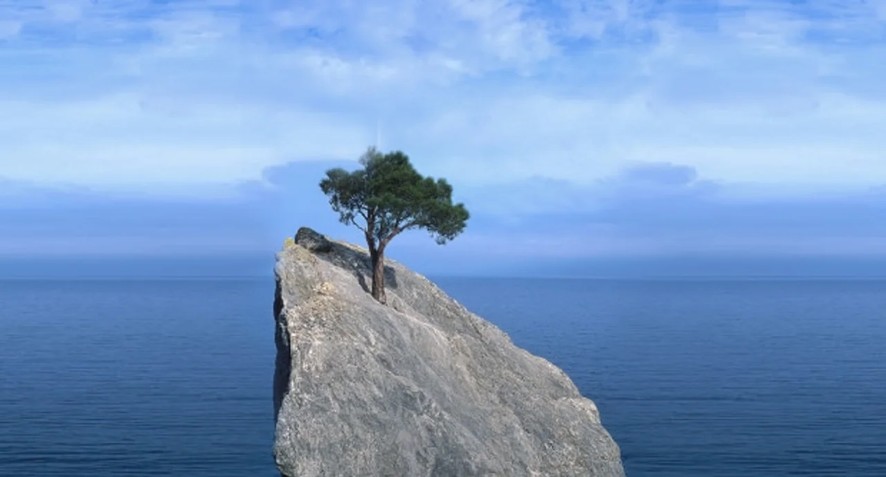Tree that fights for life on a rock