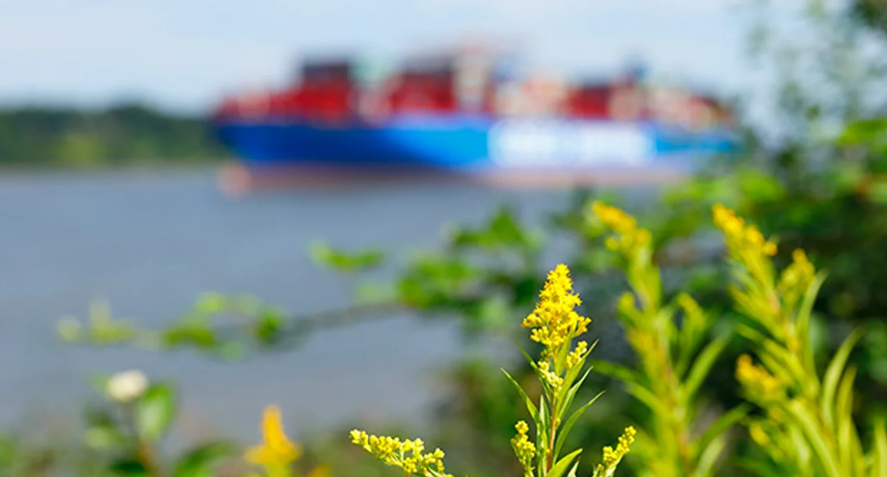 Blossoming Plants And Container Ship At The Elbe River Hamburg Germany
