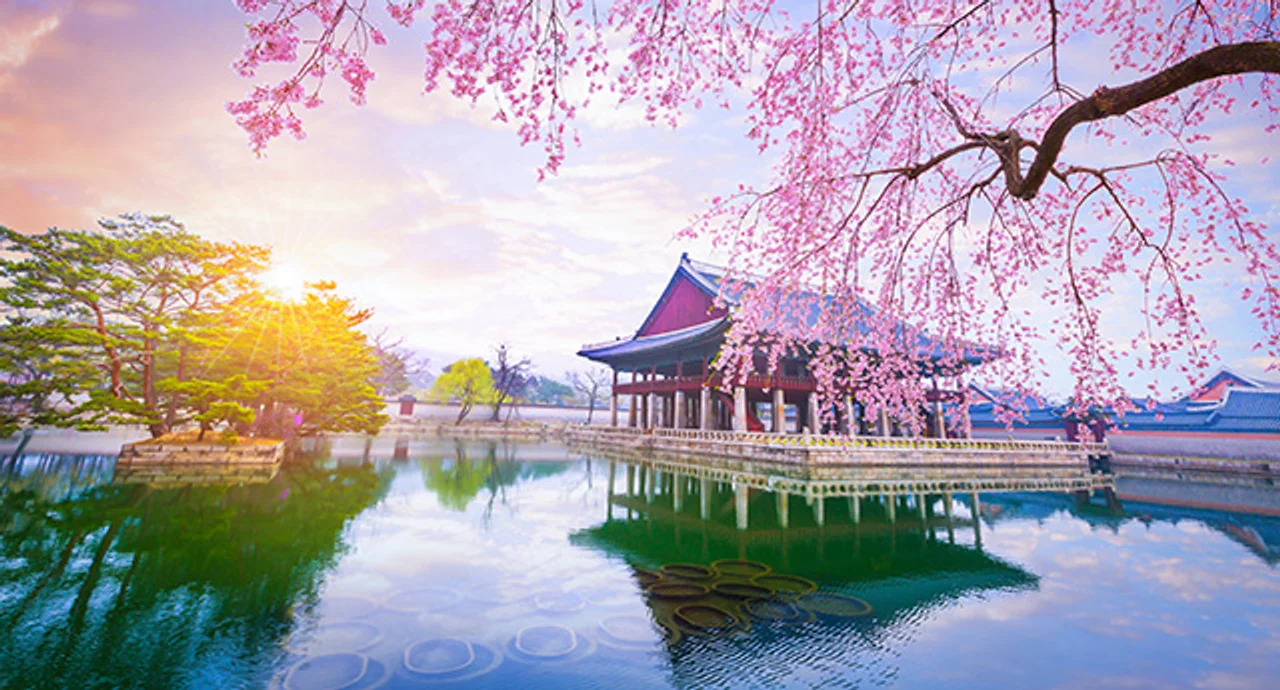 Gyeongbokgung Palace with cherry blossoms in spring in Seoul, South Korea