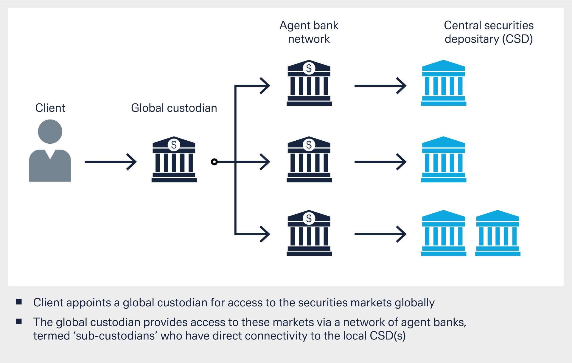 Figure 2: Summary of global and agent bank relationships
